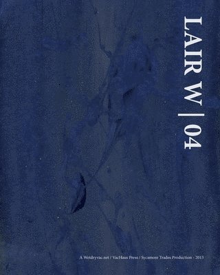 bokomslag Lair W   04