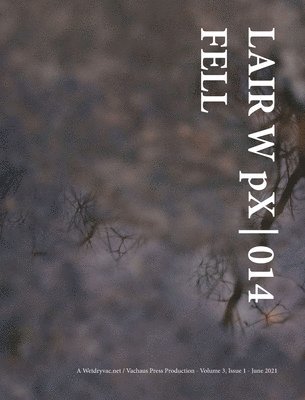 bokomslag Lair W Px   014 Fell