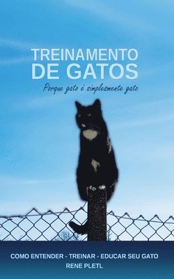Treinamento De Gatos  Porque Gato   Simp 1