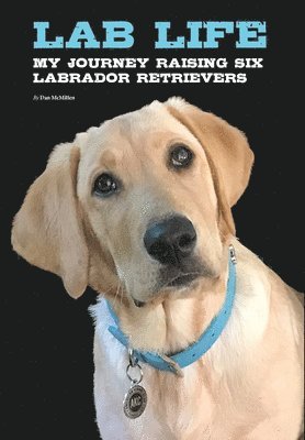 bokomslag Lab Life: My Journey Raising Six Labrado