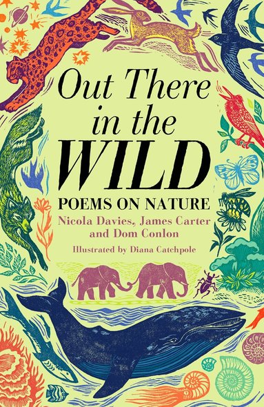 James Carter, Dom Conlon, Nicola Davies - Out There in the Wild, Inbunden