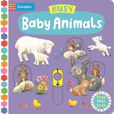 bokomslag Busy Baby Animals