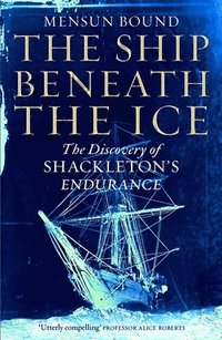 bokomslag The Ship Beneath the Ice