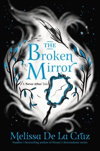 bokomslag The Broken Mirror