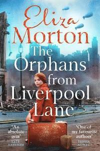 bokomslag The Orphans from  Liverpool Lane