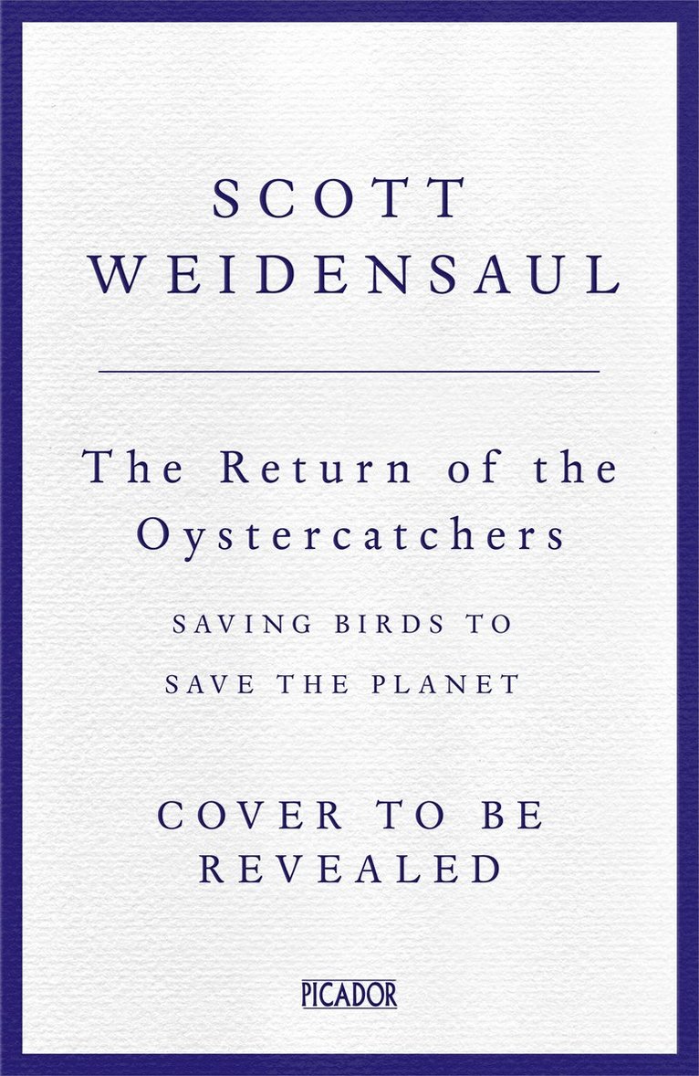Return of the Oystercatcher, The