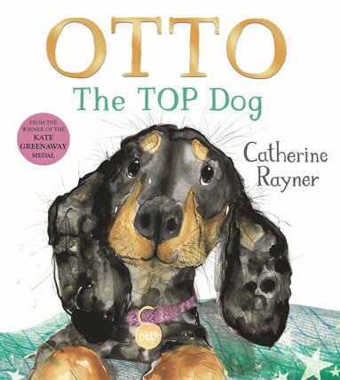 bokomslag Otto The Top Dog