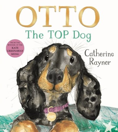 Catherine Rayner - Otto The Top Dog, Häftad