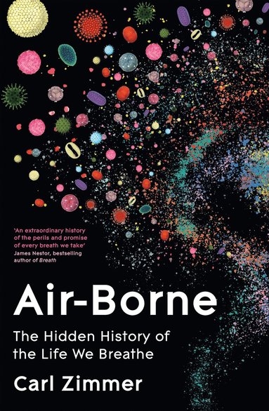 bokomslag Air-Borne