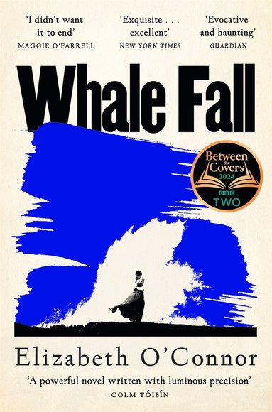 bokomslag Whale Fall