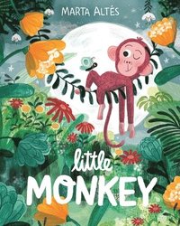 bokomslag Little Monkey