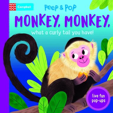 Campbell Books - Monkey, Monkey, What A Curly Tail You Have!, Kartonnage