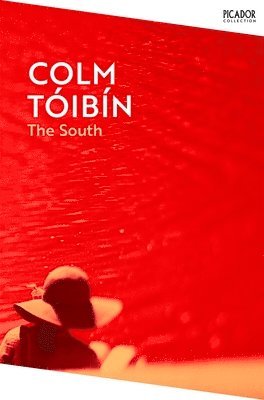 Colm Tóibín, Colm Toibin - South, Häftad