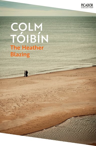 Colm Tóibín - Heather Blazing, Häftad
