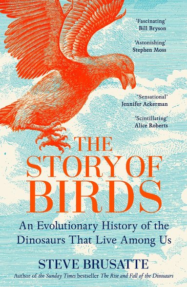 Steve Brusatte - Story of Birds, Inbunden