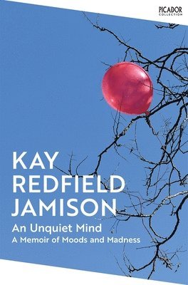 bokomslag An Unquiet Mind