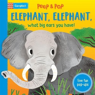 Elephant, Elephant, What Big Ears You Have!