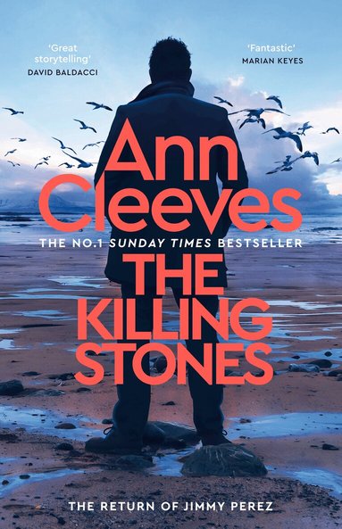 Ann Cleeves - Killing Stones, Häftad