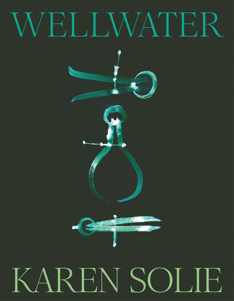 Karen Solie - Wellwater, Häftad