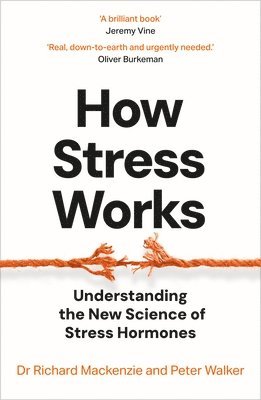 How Stress Works