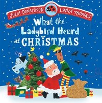 bokomslag What the Ladybird Heard at Christmas