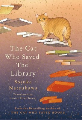 Cat Who Saved The Library 1