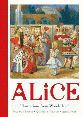 Macmillan Children's Books, MacMillan Children's Books, Lewis Carroll - Alice Pull-Out Prints, Inbunden