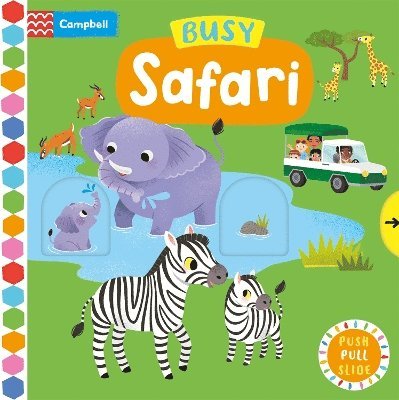 Busy Safari 1