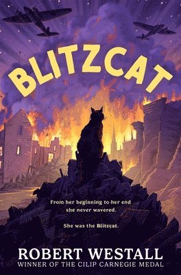 Blitzcat 1