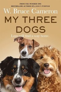 bokomslag My Three Dogs