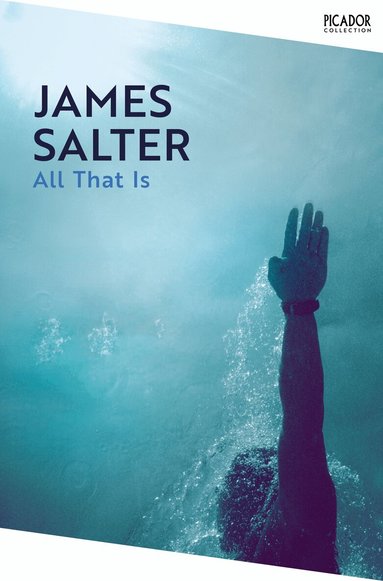 James Salter - All That Is, Häftad