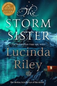 bokomslag The Storm Sister