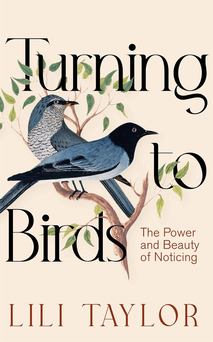 Lili Taylor - Turning to Birds, Häftad