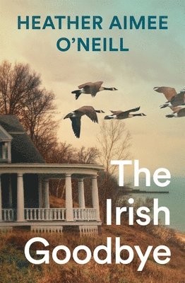 bokomslag The Irish Goodbye