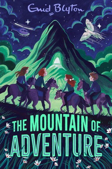 Enid Blyton - Mountain of Adventure, Häftad
