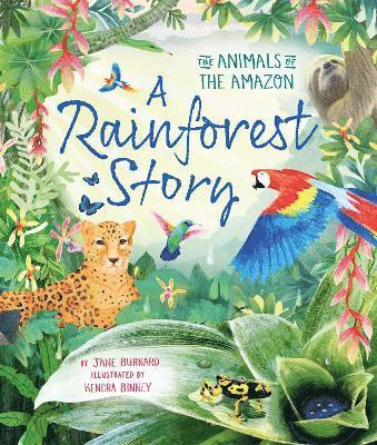 bokomslag Rainforest Story