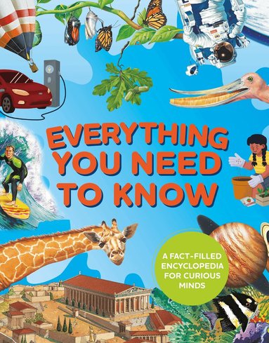 Deborah Chancellor, Deborah Murrell, Philip Steele, Barbara Taylor - Everything You Need to Know, Inbunden