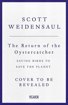 Return of the Oystercatcher, The