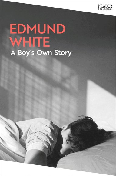 Edmund White - Boy's Own Story, Häftad