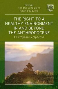 bokomslag The Right to a Healthy Environment in and Beyond the Anthropocene