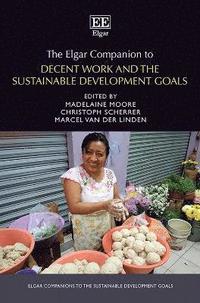 bokomslag The Elgar Companion to Decent Work and the Sustainable Development Goals
