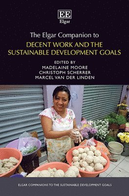 bokomslag The Elgar Companion to Decent Work and the Sustainable Development Goals