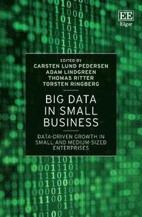 bokomslag Big Data in Small Business