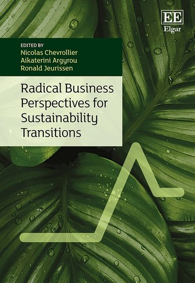 Nicolas Chevrollier, Aikaterini Argyrou, Ronald Jeurissen - Radical Business Perspectives for Sustainability Transitions, Inbunden