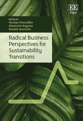 bokomslag Radical Business Perspectives for Sustainability Transitions