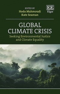 bokomslag Global Climate Crisis