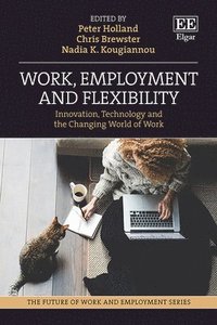 bokomslag Work, Employment and Flexibility