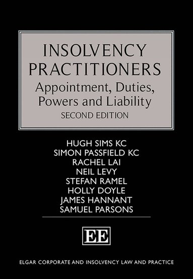 bokomslag Insolvency Practitioners