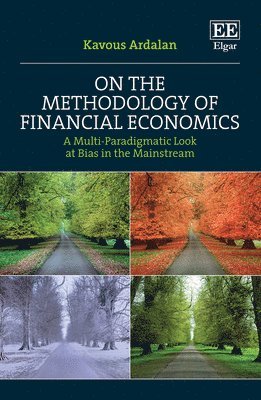 bokomslag On the Methodology of Financial¿Economics
