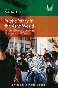 bokomslag Public Policy in the Arab World
